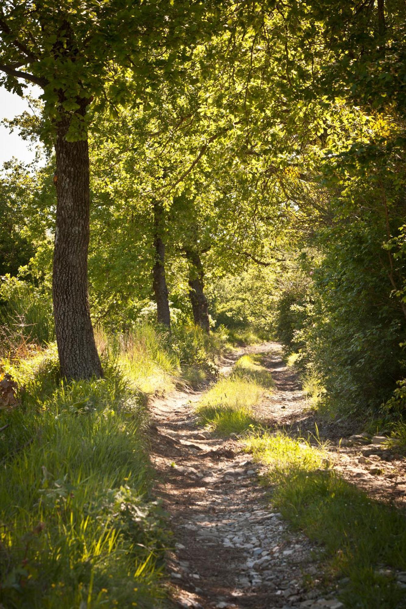 Vila Relais Parco Del Subasio Piano Delle Pieve Exteriér fotografie
