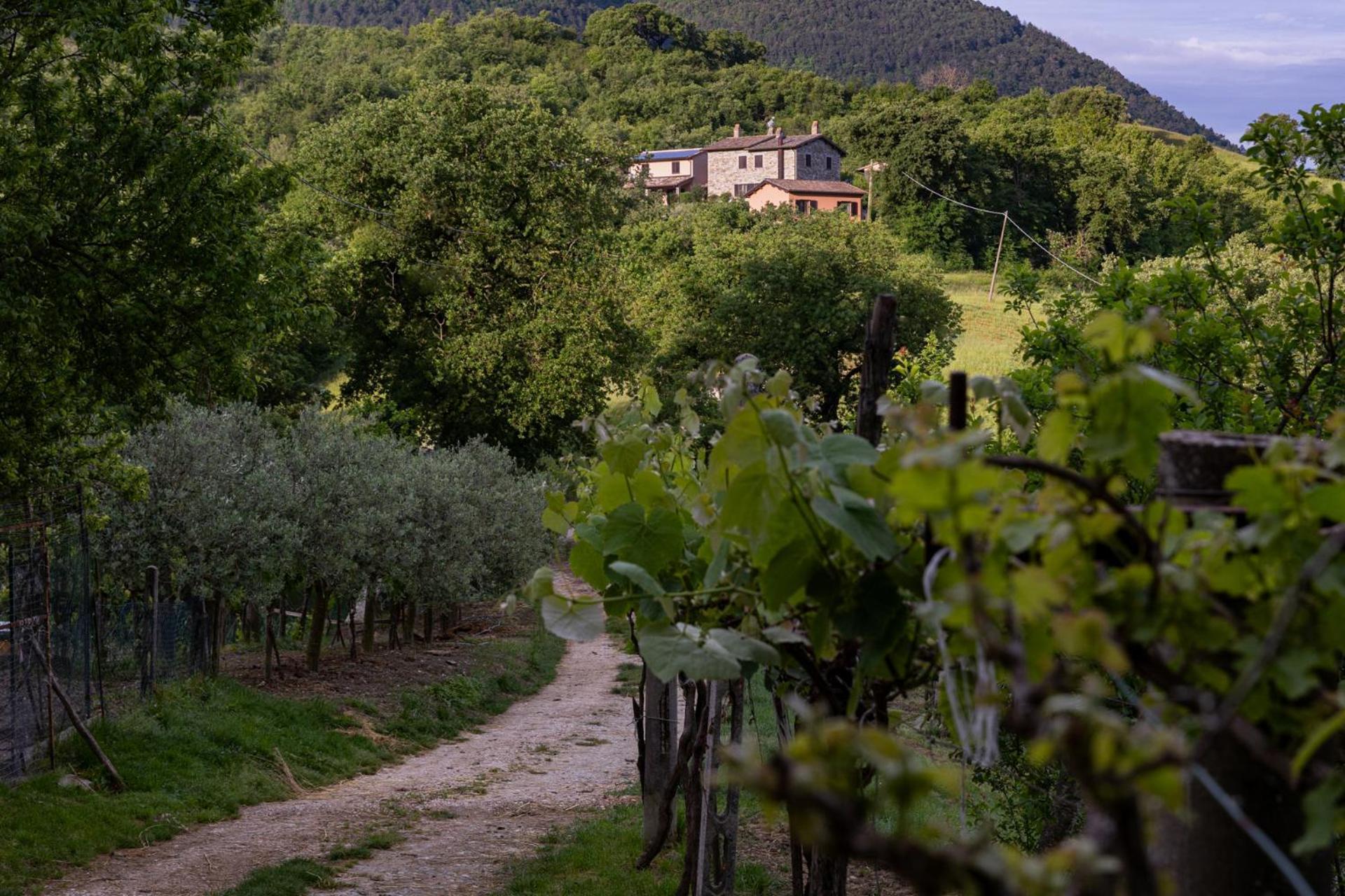 Vila Relais Parco Del Subasio Piano Delle Pieve Exteriér fotografie